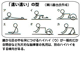 はえば立て２ ハイハイ