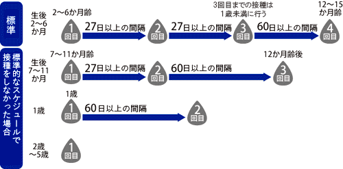 子どもの予防接種 ヒブワクチン | 小児科コラム | 秋山こどもクリニック