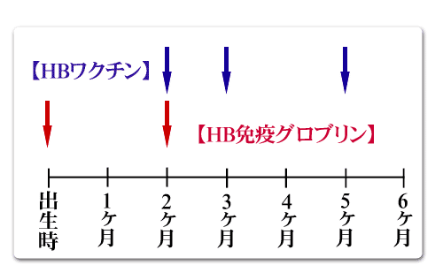 子どもの予防接種 B型肝炎ワクチン | 小児科コラム | 秋山こどもクリニック
