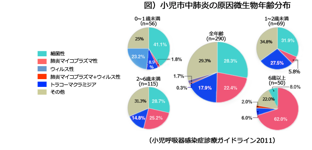 マイコプラズマ感染症| 小児科コラム | 秋山こどもクリニック