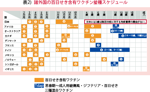 百日咳への対応 | 小児科コラム | 秋山こどもクリニック